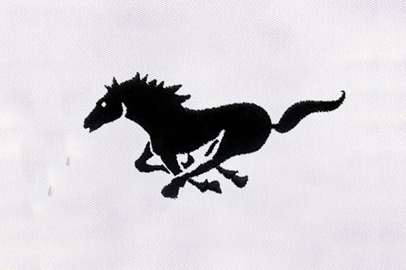 Black Horse Design
